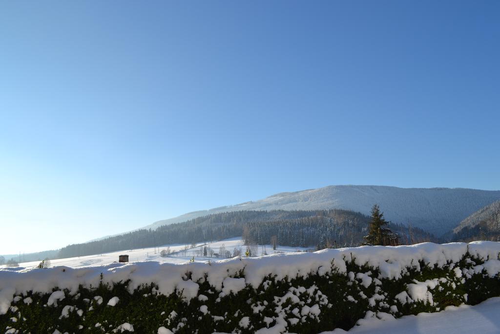 Ubytovani V Soukromi - U Hlinku Horni Marsov Exterior photo