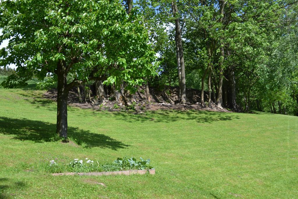 Ubytovani V Soukromi - U Hlinku Horni Marsov Exterior photo