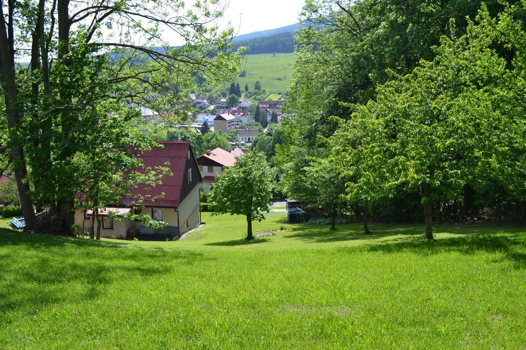 Ubytovani V Soukromi - U Hlinku Horni Marsov Exterior photo